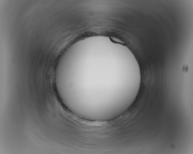 X0000111010036200906191217