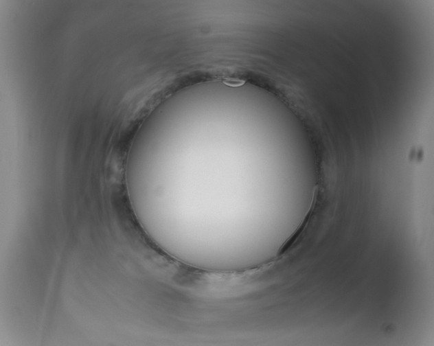 X0000111010037200906191217