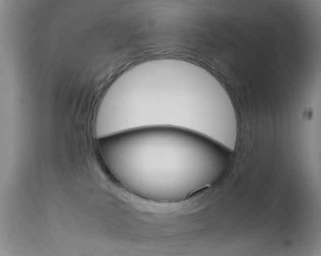 X0000111010039200906191217