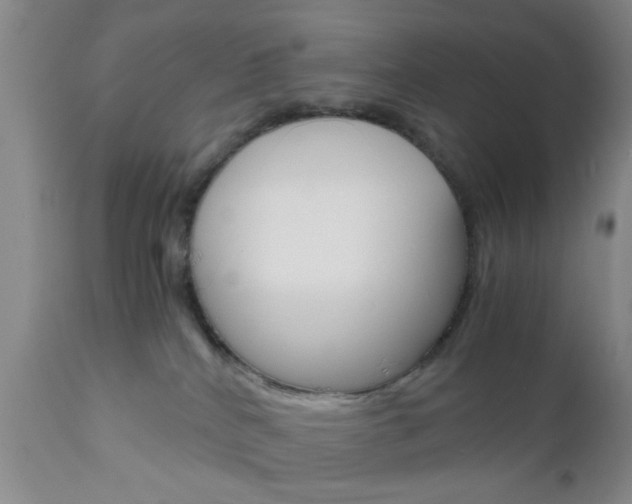 X0000111010040200906191217
