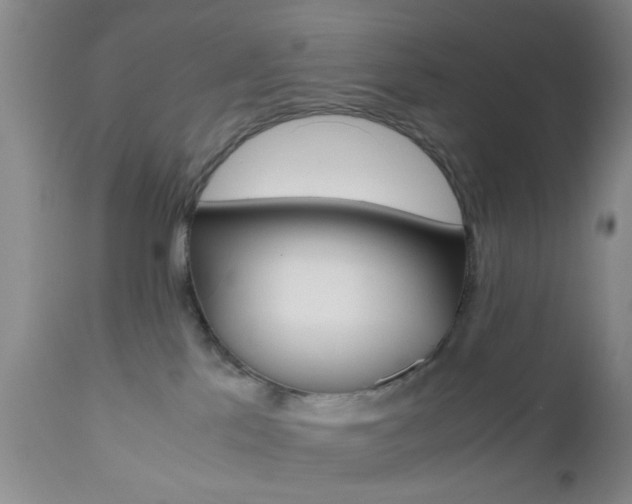 X0000111010041200906191217