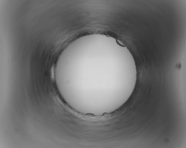X0000111010042200906191217