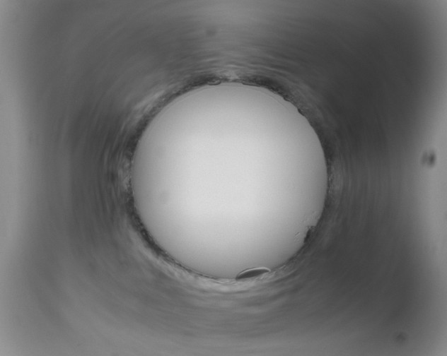 X0000111010043200906191217