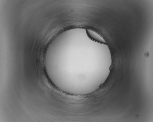 X0000111010044200906191217