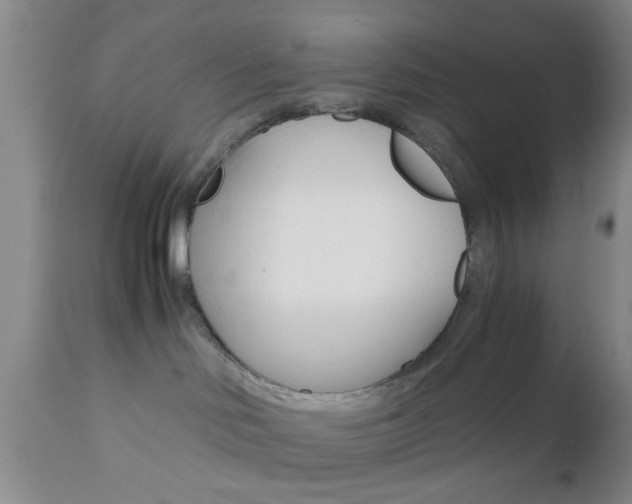 X0000111010046200906191217