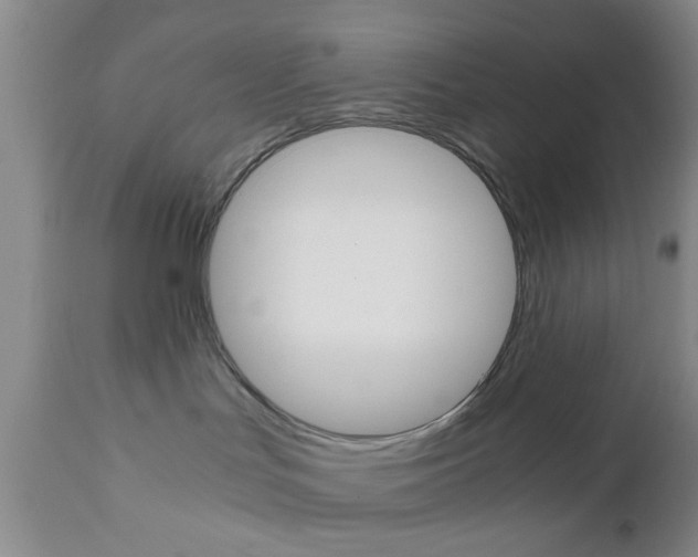 X0000111010047200906191217