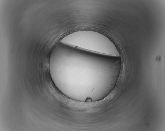 X0000111010048200906191217