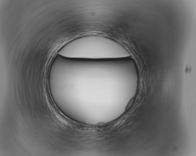 X0000111010049200906191217