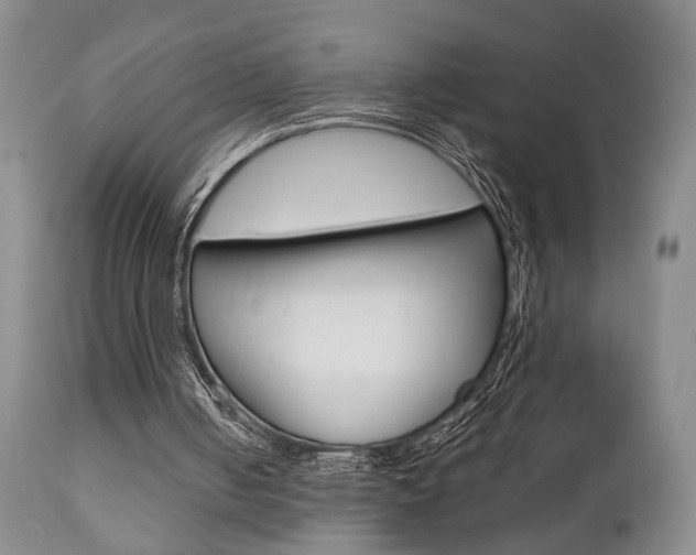 X0000111010050200906191217