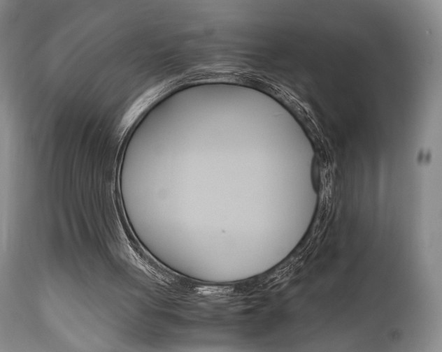 X0000111010051200906191217
