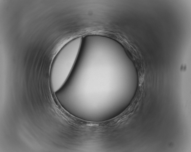 X0000111010052200906191217