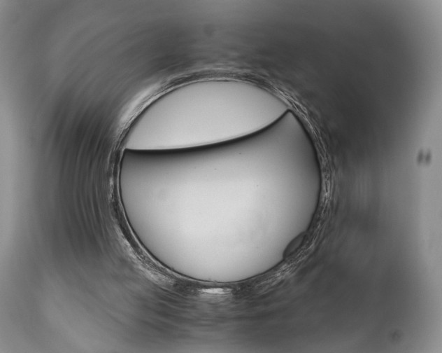 X0000111010053200906191217