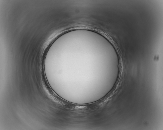 X0000111010055200906191217