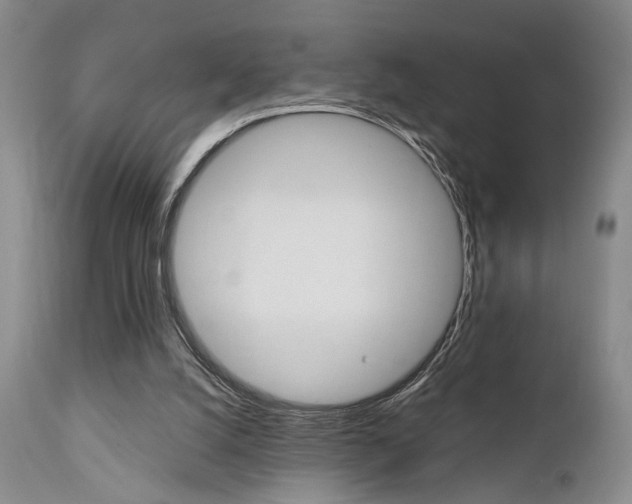 X0000111010056200906191217