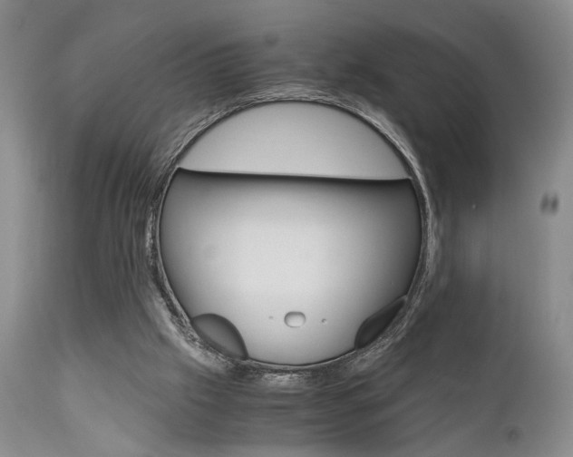 X0000111010057200906191217