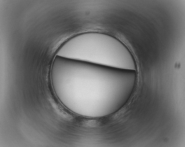X0000111010058200906191217