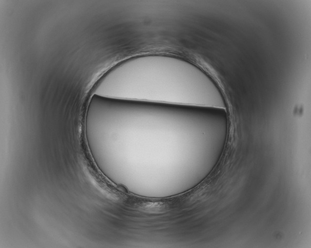 X0000111010059200906191217