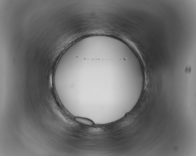 X0000111010061200906191217