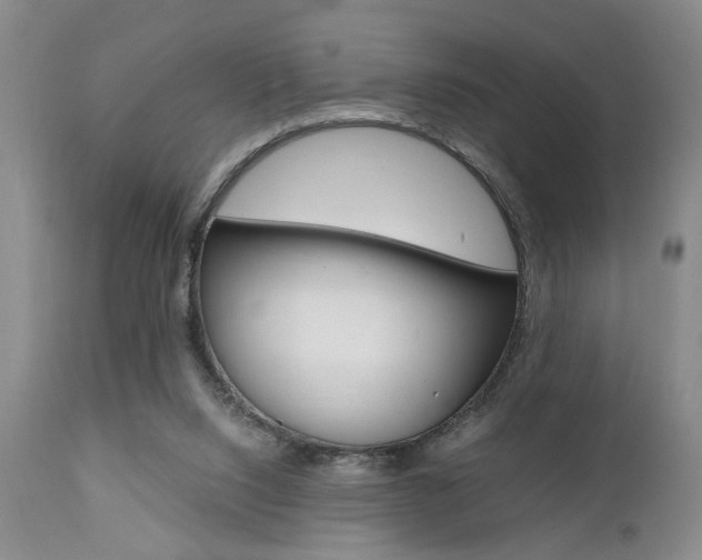 X0000111010064200906191217