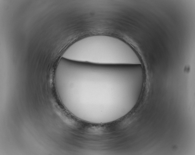 X0000111010065200906191217