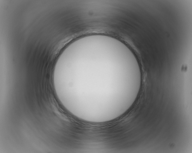 X0000111010068200906191217