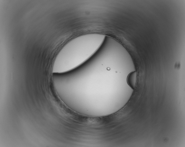X0000111010070200906191217