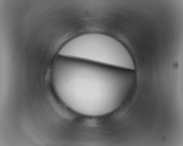 X0000111010071200906191217