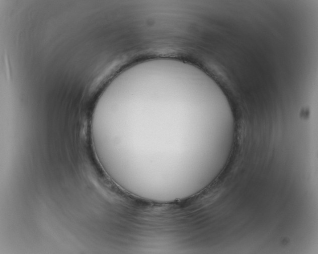 X0000111010072200906191217