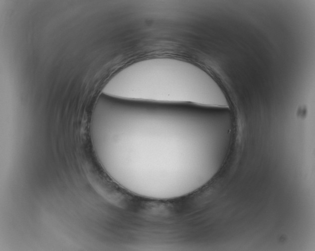 X0000111010073200906191217