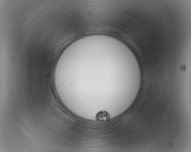 X0000111010076200906191217