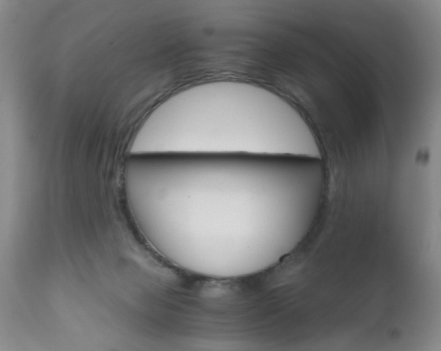X0000111010077200906191217