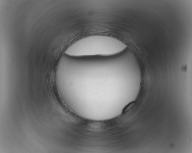 X0000111010079200906191217