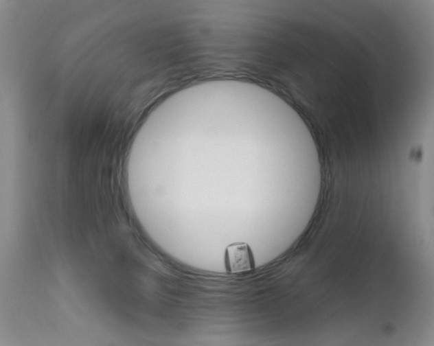 X0000111010080200906191217