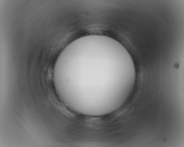 X0000111010081200906191217