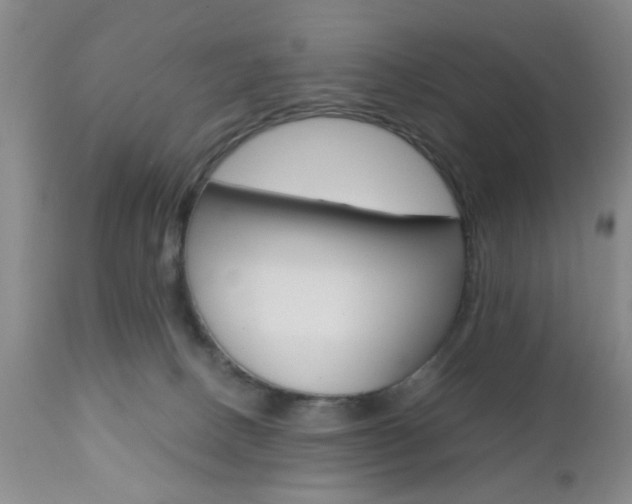 X0000111010082200906191217