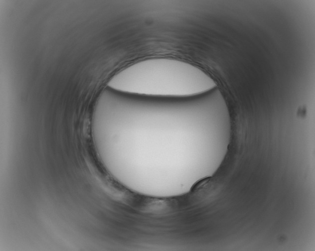 X0000111010083200906191217