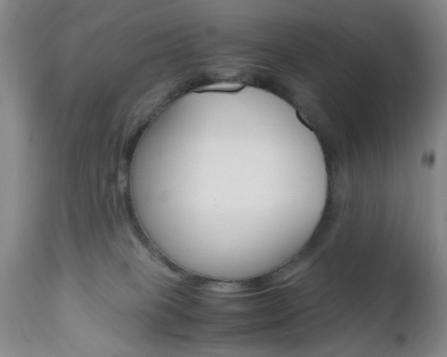 X0000111010085200906191217