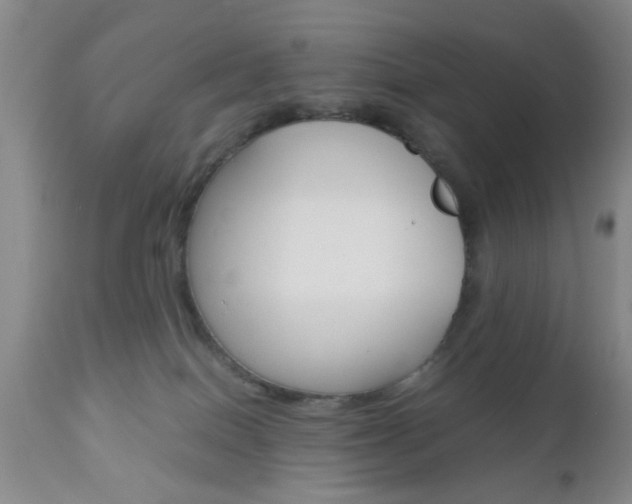 X0000111010086200906191217