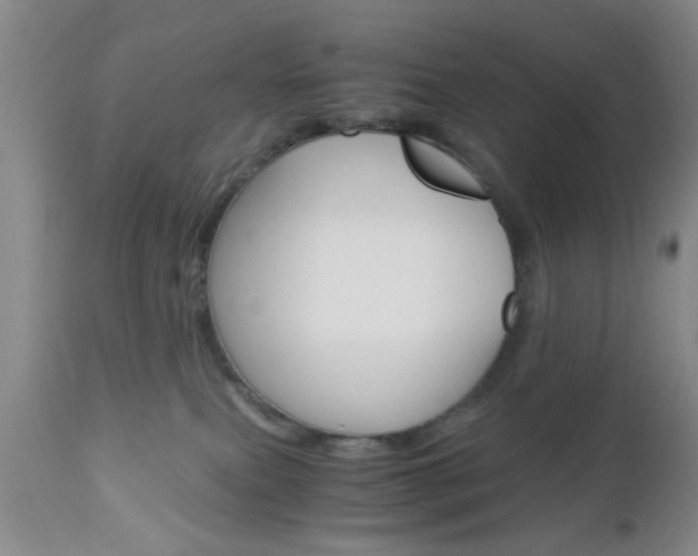 X0000111010087200906191217
