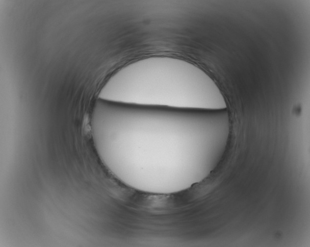 X0000111010089200906191217