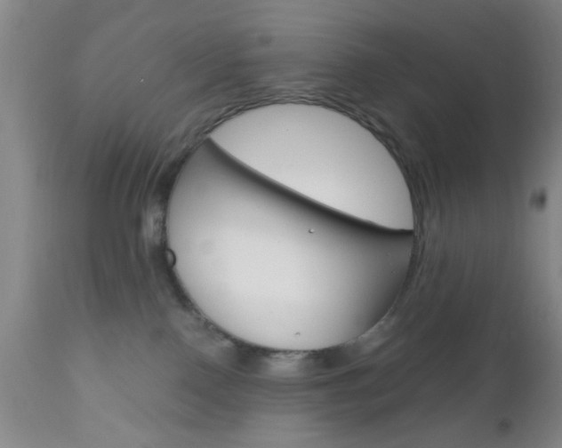X0000111010090200906191217