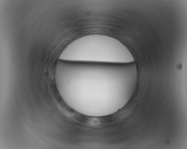 X0000111010091200906191217