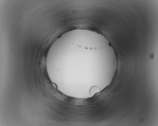 X0000111010093200906191217
