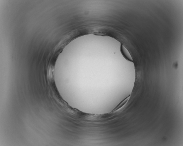 X0000111010094200906191217