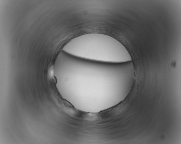 X0000111010095200906191217