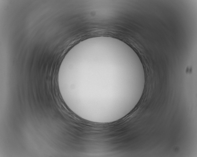 X0000111010096200906191217