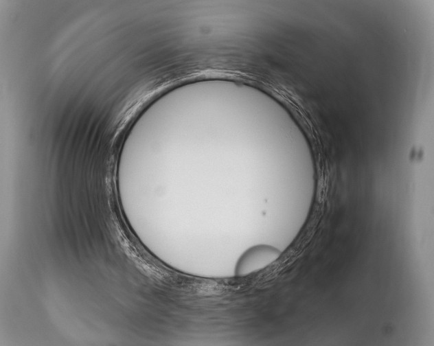 X0000111010098200906191216