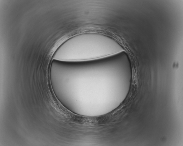 X0000111010099200906191216
