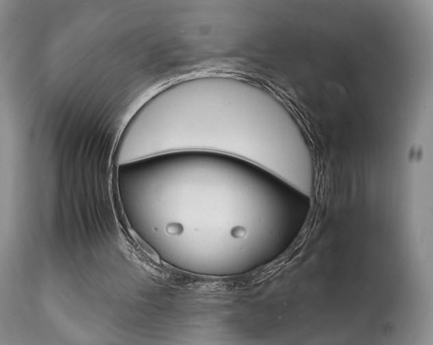 X0000111010100200906191216