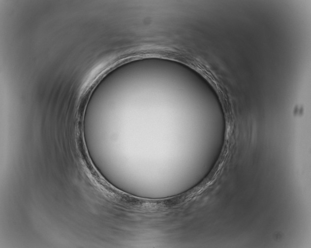 X0000111010101200906191216